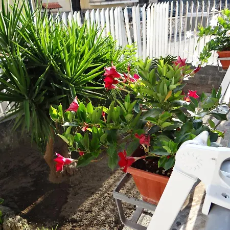 White Lady * Pompeji