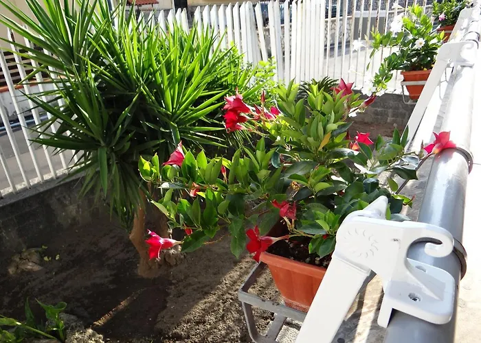 White Lady * Pompeji